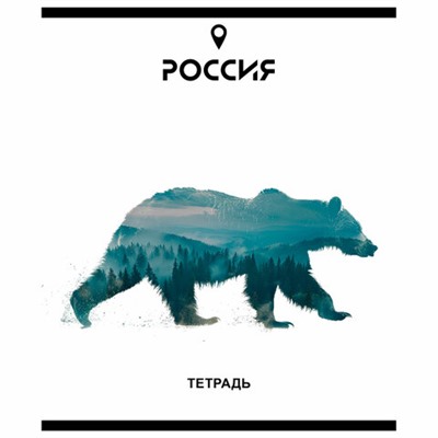 Тетрадь А5 48 л. ПЗБМ, скоба, клетка, Soft Touch, брайль, "Место Силы" (микс в спайке), 23294