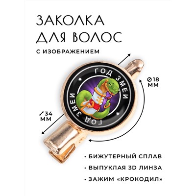 HZF-0104 Заколка Восточный гороскоп - год Змеи
