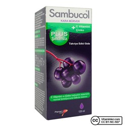 Sambucol Plus Черная бузина без сахара 120 мл