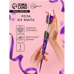 Мыльная роза, фиолетовая