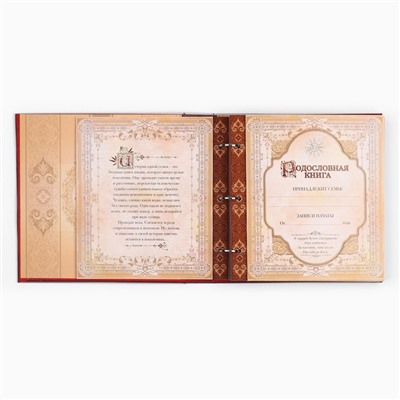 Родословная книга с рамкой под фото «Семейная книга», 50 листов, 21,5 х 23,7 см.