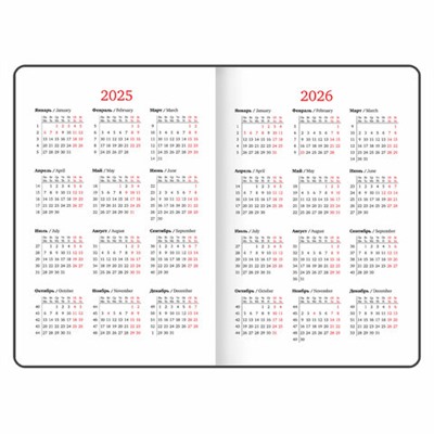 Еженедельник датированный 2025, А5, 145х215 мм, BRAUBERG "Party", под кожу, коричневый, 115967