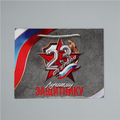 Пакет подарочный ламинированный, упаковка, «С 23 февраля», MS 23 х 18 х 8 см