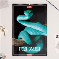 Календарь перекидной на ригеле А3 «Год Змеи» 2025, 32×48 см