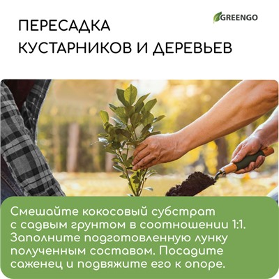 Субстрат кокосовый, универсальный, для террариумов и растений, в брикете, 7 л, Greengo