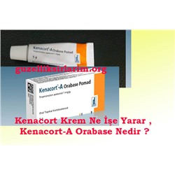 KENACORT-A ORABASE % 0.1 5 gr pomad