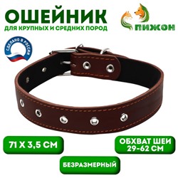 Ошейник кожаный на синтепоне, безразмерный, 71 х 3,5 см, ОШ 29-62 см, коричневый