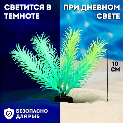 Растение искусственное аквариумное, светящееся, 10 см, зелёное