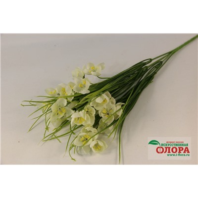 Букет подснежник в траве