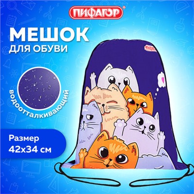 Мешок для обуви ПИФАГОР, 1 отделение, 42х34 см, "Cats greetings", 272382