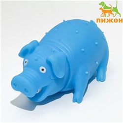Игрушка пищащая "Весёлая свинья" для собак, хрюкающая, 19,5 см, голубая
