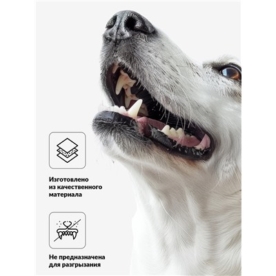 Игрушка пищащая "Бактерия" для собак, 6,3 см, зелёная
