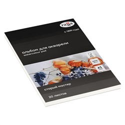 Альбом для акварели, 20л., А5, на склейке Гамма "Старый Мастер", 300г/м2,сатин, 100% хлопок