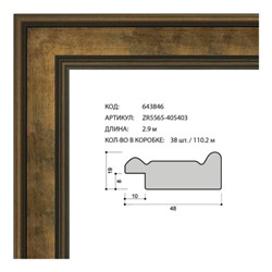 Багет пластиковый 48х19 ZR5565-405403 /уп 130,5м/
