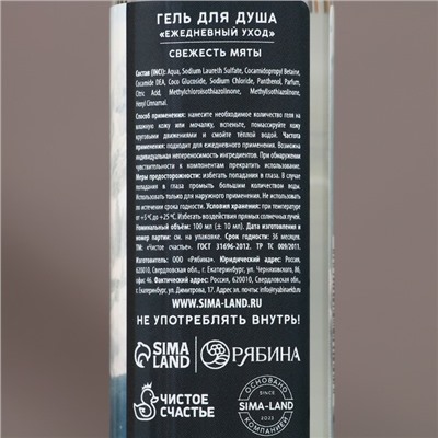Подарочный набор новогодний ЧИСТОЕ СЧАСТЬЕ «Сильному духом»: гель для душа и шампунь для волос, 2х100 мл