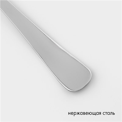 Ложка столовая «Росинка», длина 19,5 см, толщина 1,8 мм, цвет серебряный