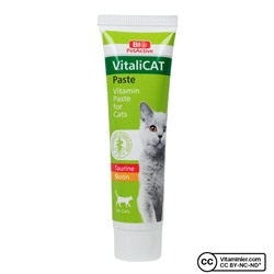 Био ПетАктив Паста для кошек Vitalicat 100 мл