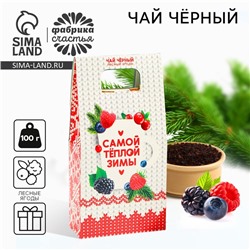 Чай новогодний «Самой тёплой зимы», со вкусом лесных ягод, 100 г