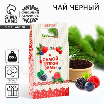 Чай новогодний «Самой тёплой зимы», со вкусом лесных ягод, 100 г