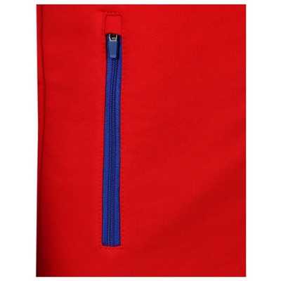 Толстовка мужская ONLYTOP, р. 44