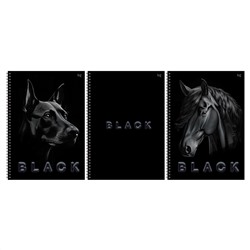 Тетрадь 80л., А4, клетка, на гребне BG "Just black", soft-touch ламинация, выб. лак
