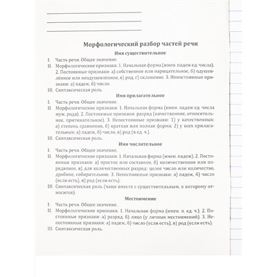 Тетрадь ЛИНИЯ 48л. РУССКИЙ ЯЗЫК «МАНГА» (Т48-1500) стандарт, твин-лак