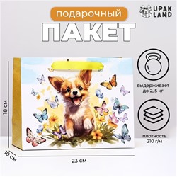 Пакет ламинированный горизонтальный «Собачка», 23×18×10 см
