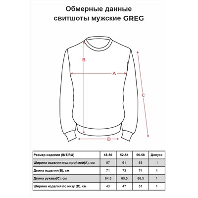 Свитшот мужской GREG G121-Error-RD-3023 (чёр-син.)