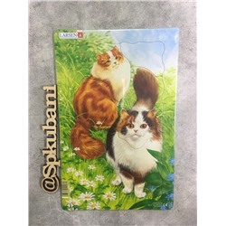 H17 - Кошки
