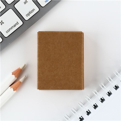 Значок в коробочке «Енот» 5×4 см