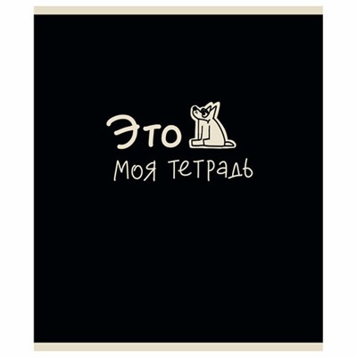 Тетрадь А5 48 л. ПЗБМ, скоба, клетка, матовая ламинация, брайль, "Тетрадь подписана" (микс в ПУ), 23447