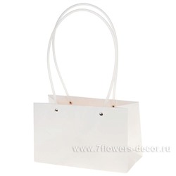 Набор сумок с ламинацией (картон), 22x10xH13 см (10шт)