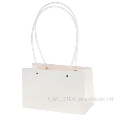 Набор сумок с ламинацией (картон), 22x10xH13 см (10шт)