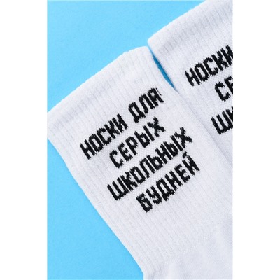 Носки мужские Школьные будни (набор 2 пары)