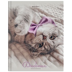 Дневник 5-11 класс 48 л., твердый, BRAUBERG, глянцевая ламинация, с подсказом, Котик, 107188