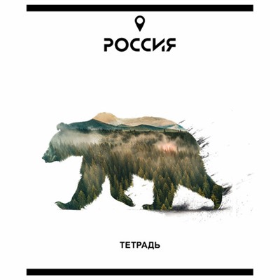 Тетрадь А5 48 л. ПЗБМ, скоба, клетка, Soft Touch, брайль, "Место Силы" (микс в спайке), 23294