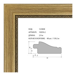 Багет пластиковый 42х18 10059-2 (359-0729-2) /уп 139,2м/  А