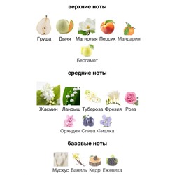 парфюм 01.01.
