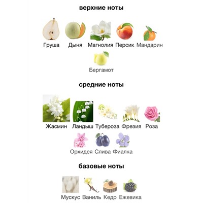 парфюм 01.01.