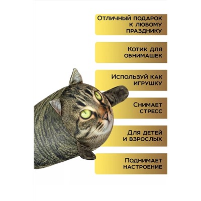 Игрушка-антистресс Кот Василий
