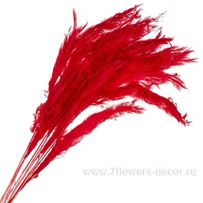 Набор ковыля, H60 см, (10 шт)
