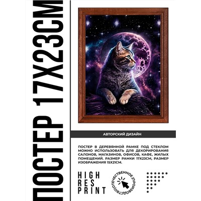 POSV-0376 Постер в рамке 17x23см Космический кот