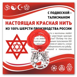 KN331 Красная нить Подкова (счастье)