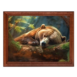 POSG-0286 Постер в рамке 23x17см Мишка в лесу