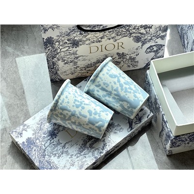 пара Dior