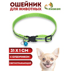Ошейник "Спорт" со светоотражающей полосой, 31 х 1 см, зелёный