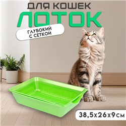 Туалет перламутровый глубокий с сеткой, 38,5 х 26 х 9 см, зеленый