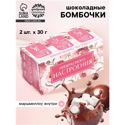 Шоколадные бомбочки с маршмеллоу «Прекрасного настроения», 2 шт.