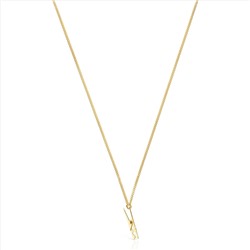 Collar Job - plata