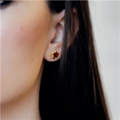 Серебряные серьги с янтарём E10010-2ZK